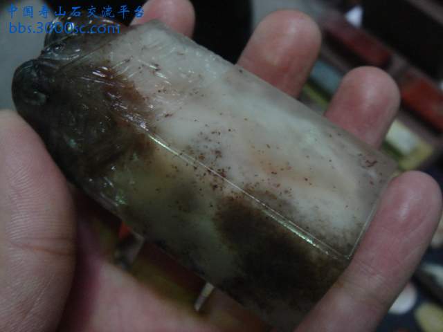 DSC04116.JPG
