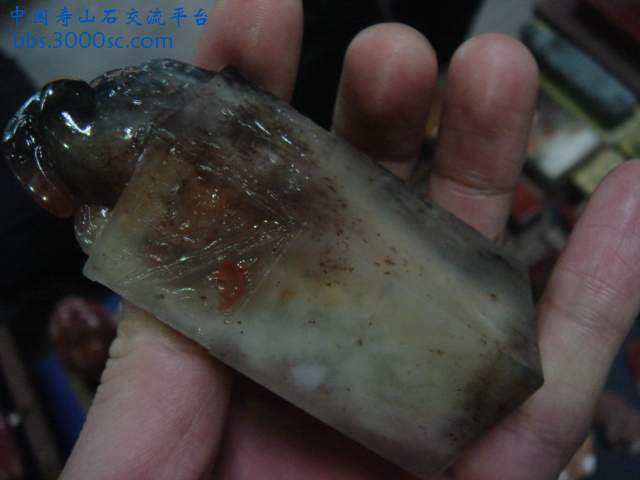 DSC04117.JPG