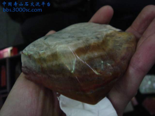 DSC04119.JPG