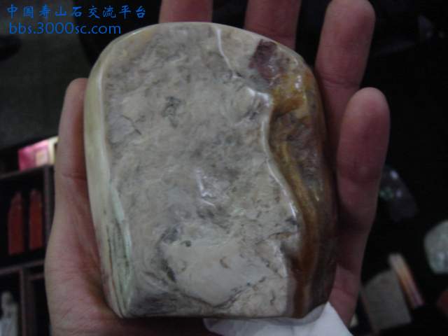 DSC04118.JPG