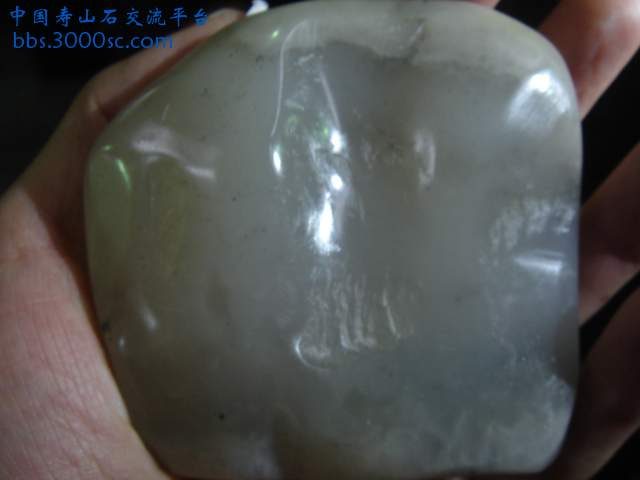 DSC04120.JPG