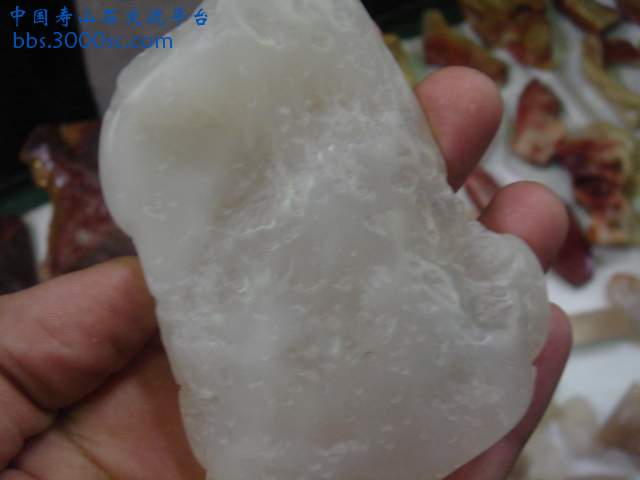 DSC04122.JPG