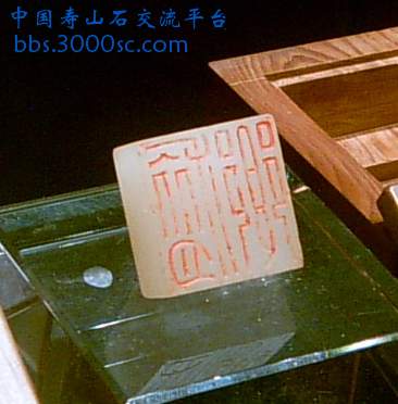 SUC38720a.jpg