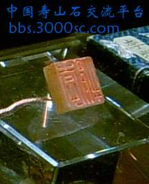 SUC38720b.jpg