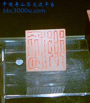 SUC38721a.jpg