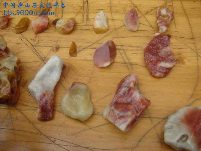 DSC04172.JPG