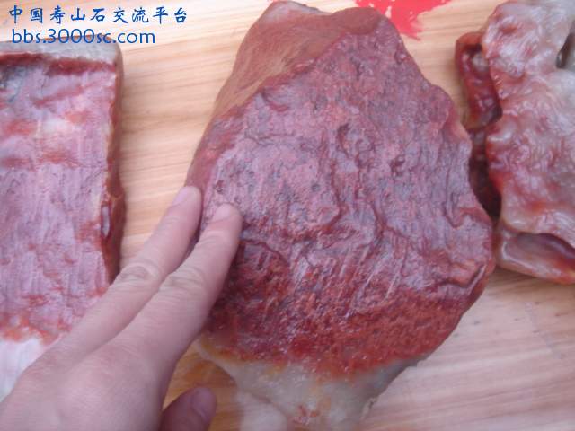 DSC04175.JPG