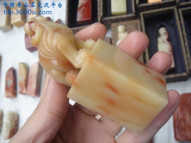 DSC04177.JPG