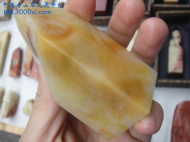 DSC04179.JPG