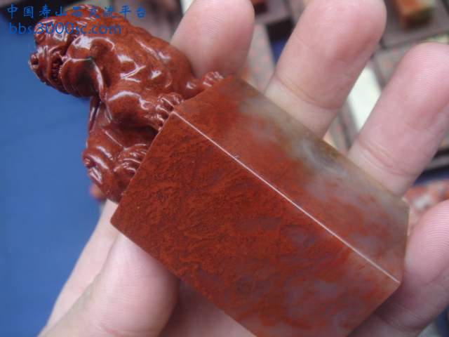 DSC04183.JPG