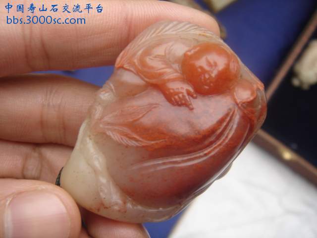 DSC04186.JPG