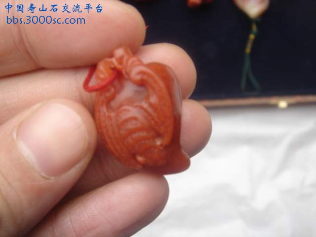 DSC04188.JPG