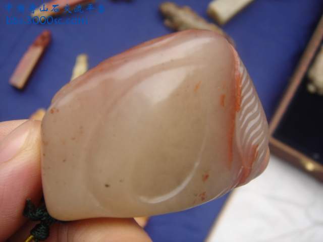DSC04187.JPG