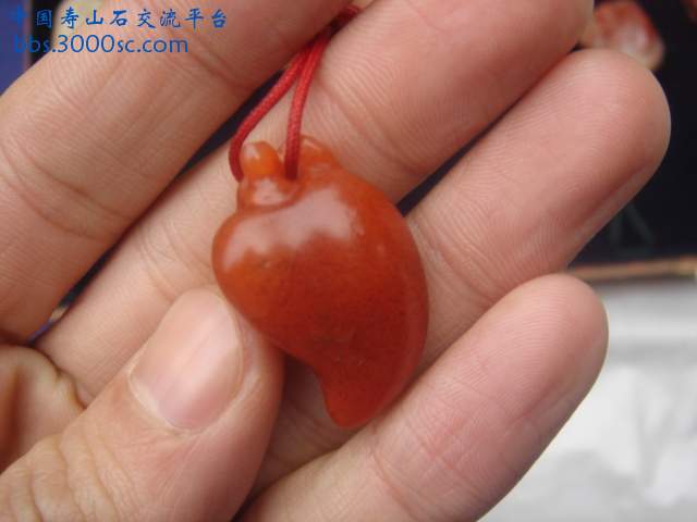 DSC04189.JPG