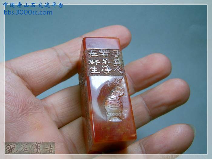 SUC38737.jpg