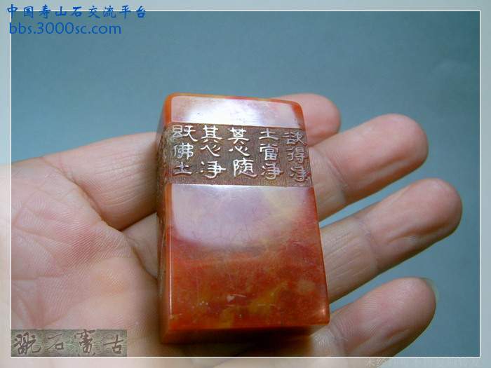 SUC38736.jpg