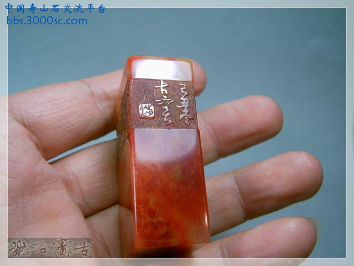SUC38739.jpg