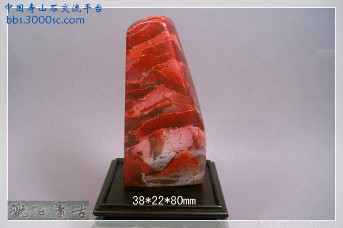 SUC38869.jpg