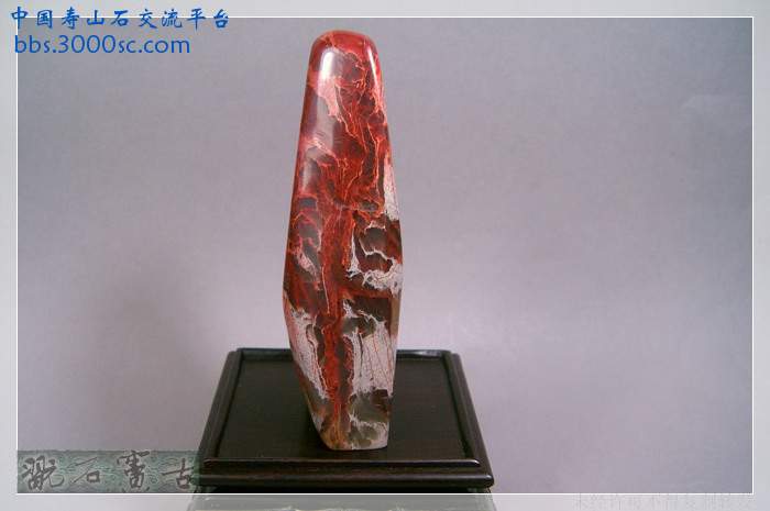 SUC38870.jpg