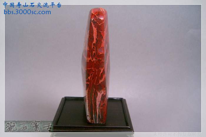SUC38872.jpg