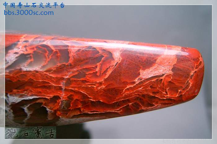SUC38876.jpg