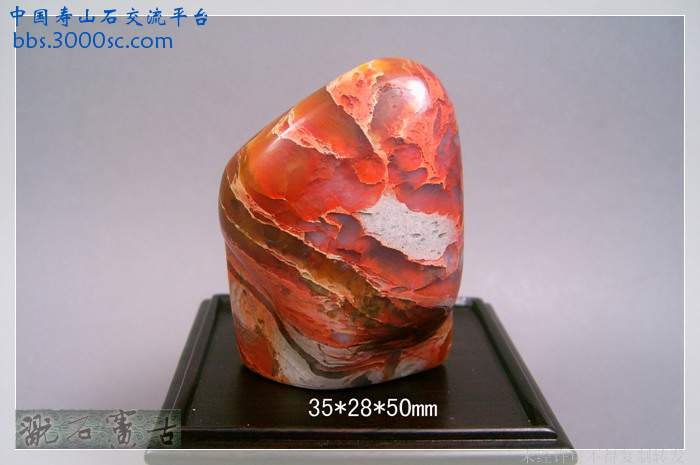 SUC38877.jpg
