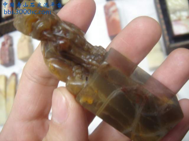 DSC04251.JPG