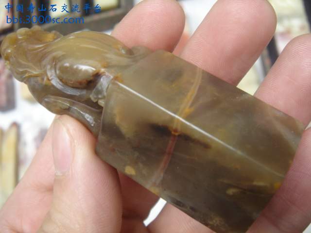DSC04252.JPG