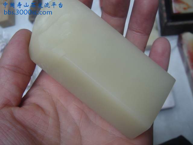 DSC04253.JPG