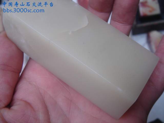 DSC04254.JPG
