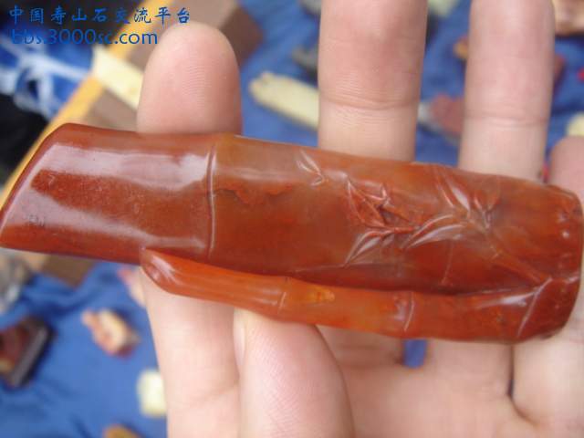 DSC04261.JPG