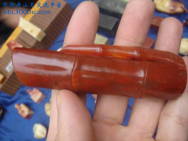DSC04262.JPG