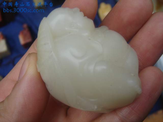 DSC04264.JPG