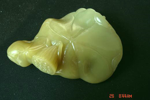 DSC03927_副本_副本.JPG