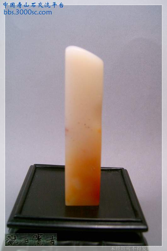 SUC39434.jpg