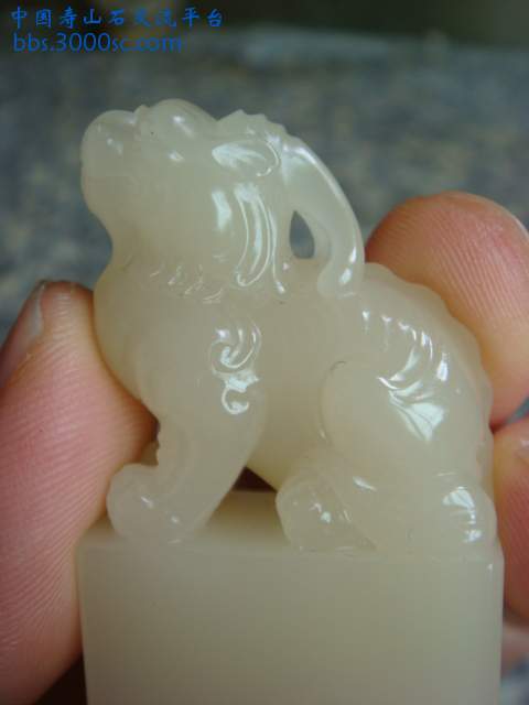 DSC03526.JPG