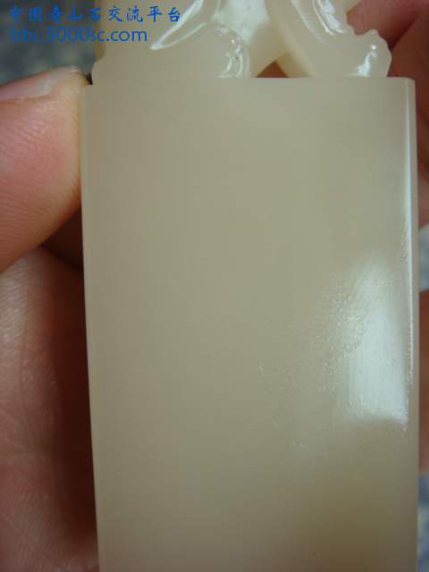 DSC03528.JPG