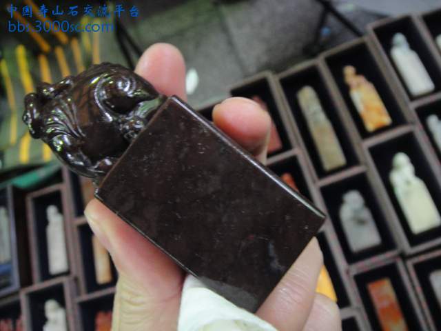 DSC04410.JPG