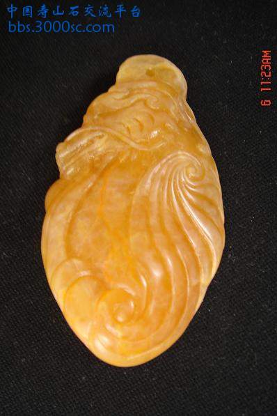 DSC04489.JPG