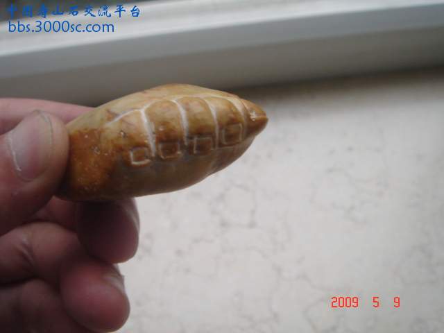 DSC09198.JPG