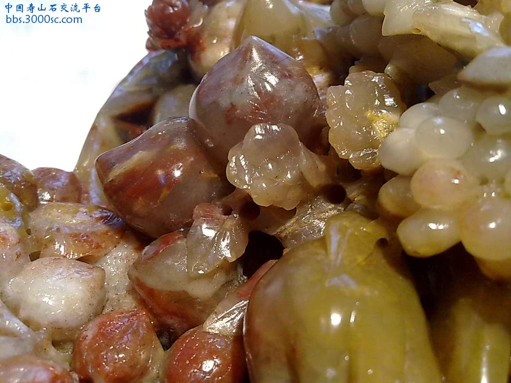 201004081112.jpg