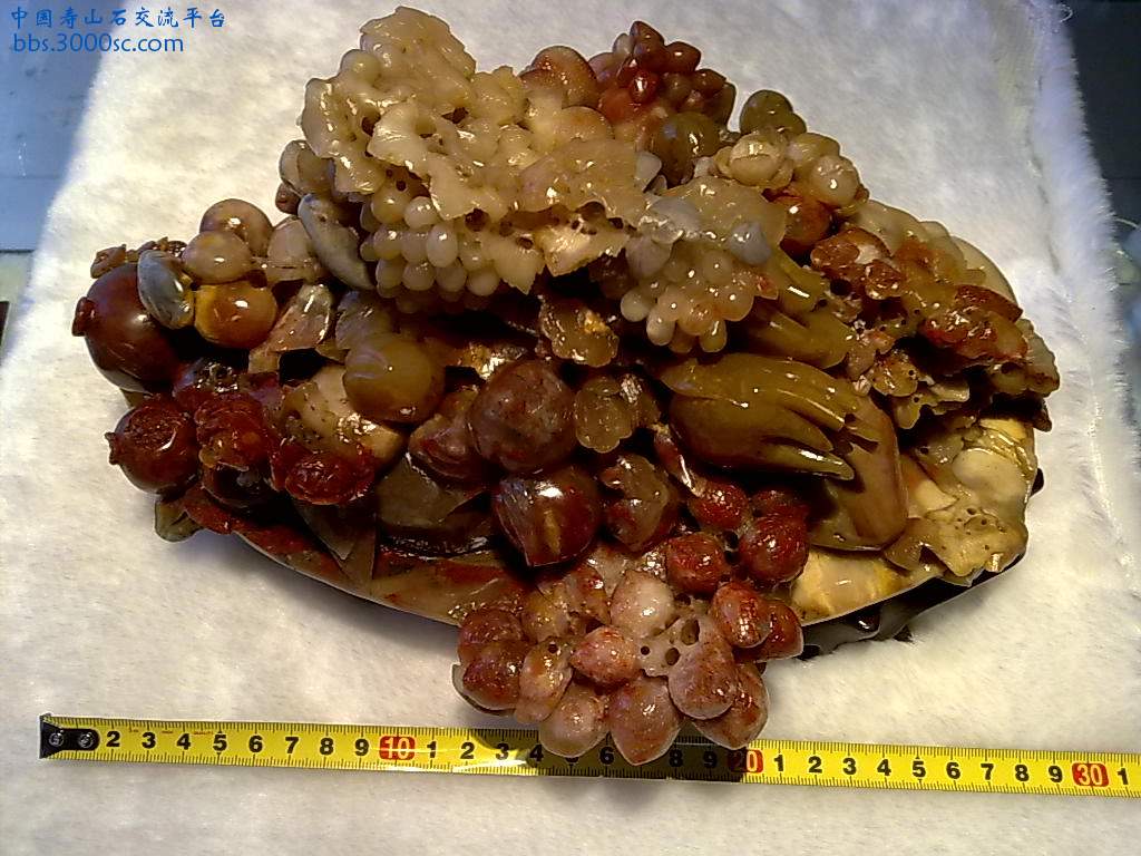 201004081126.jpg