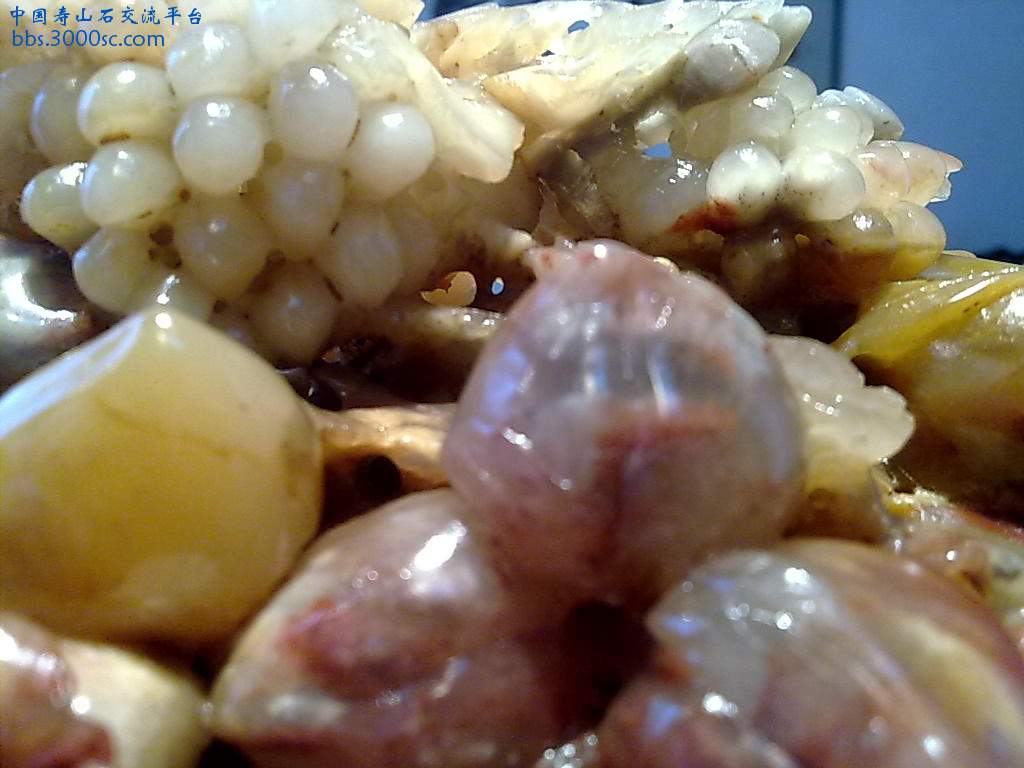 201004081125.jpg
