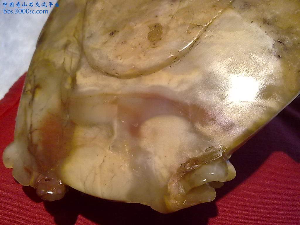 201004081121.jpg