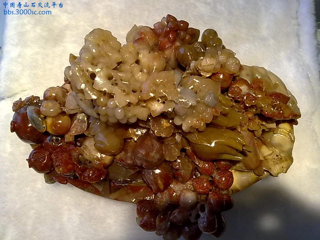 201004081117.jpg