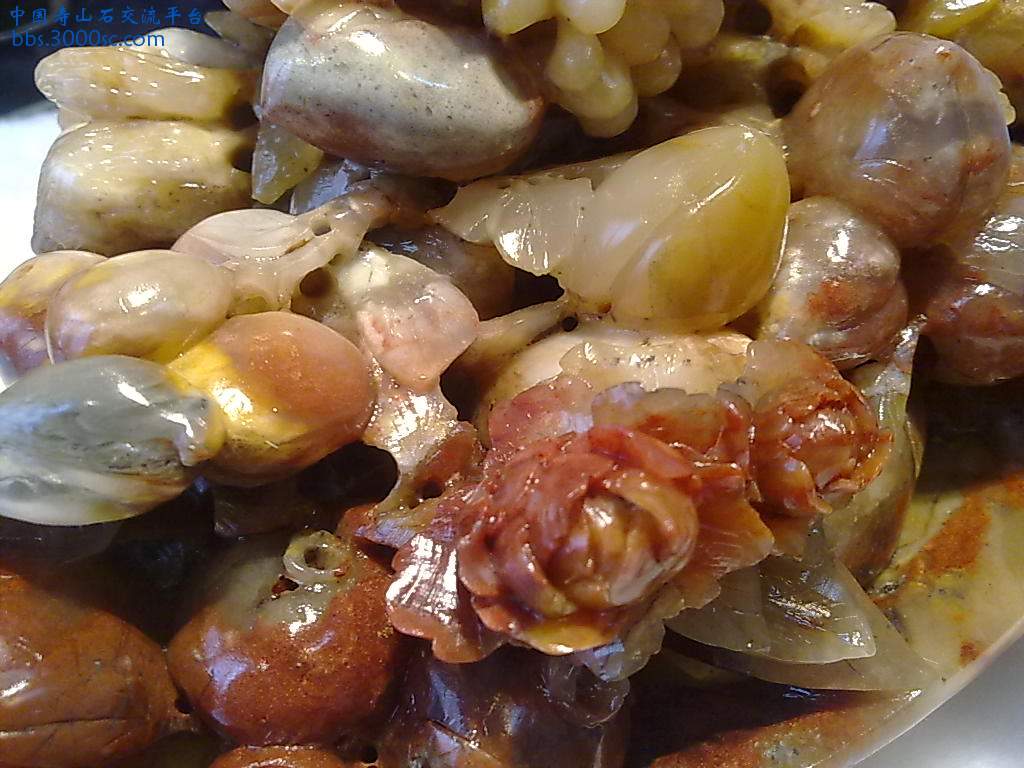 201004081116.jpg