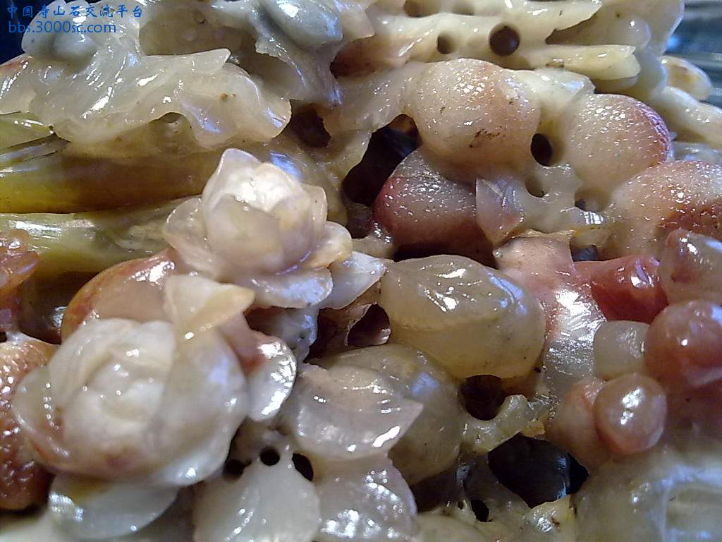 201004081113.jpg