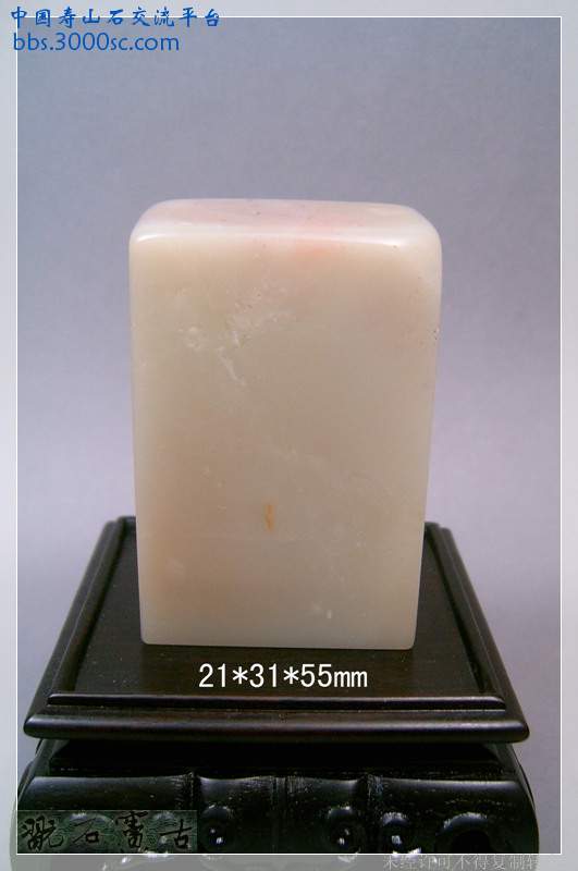 SUC39315.jpg