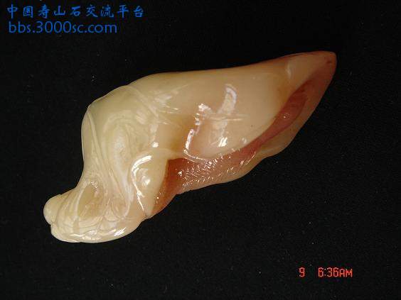 DSC04565.JPG