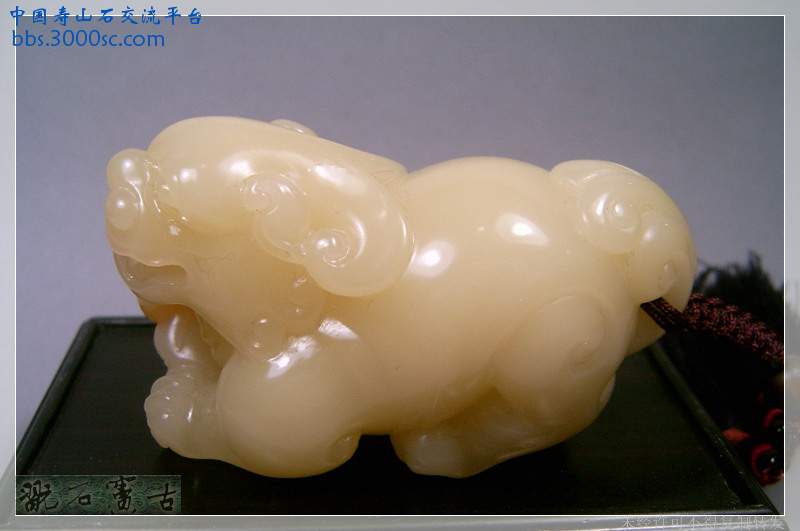 SUC39527.jpg